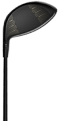 HEAD